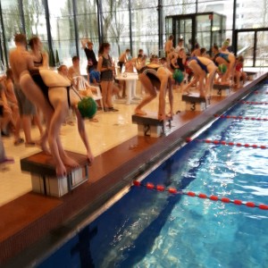 Foto Schwimmen 2016 3
