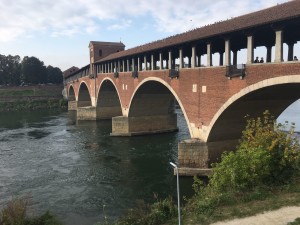 IMG-20171002-WA0003
