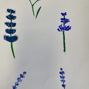 Blumenstudien (14)