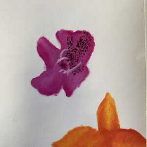 Blumenstudien (7)