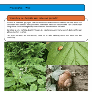Projekttage_am_FMG_Digitale-Plakate-26