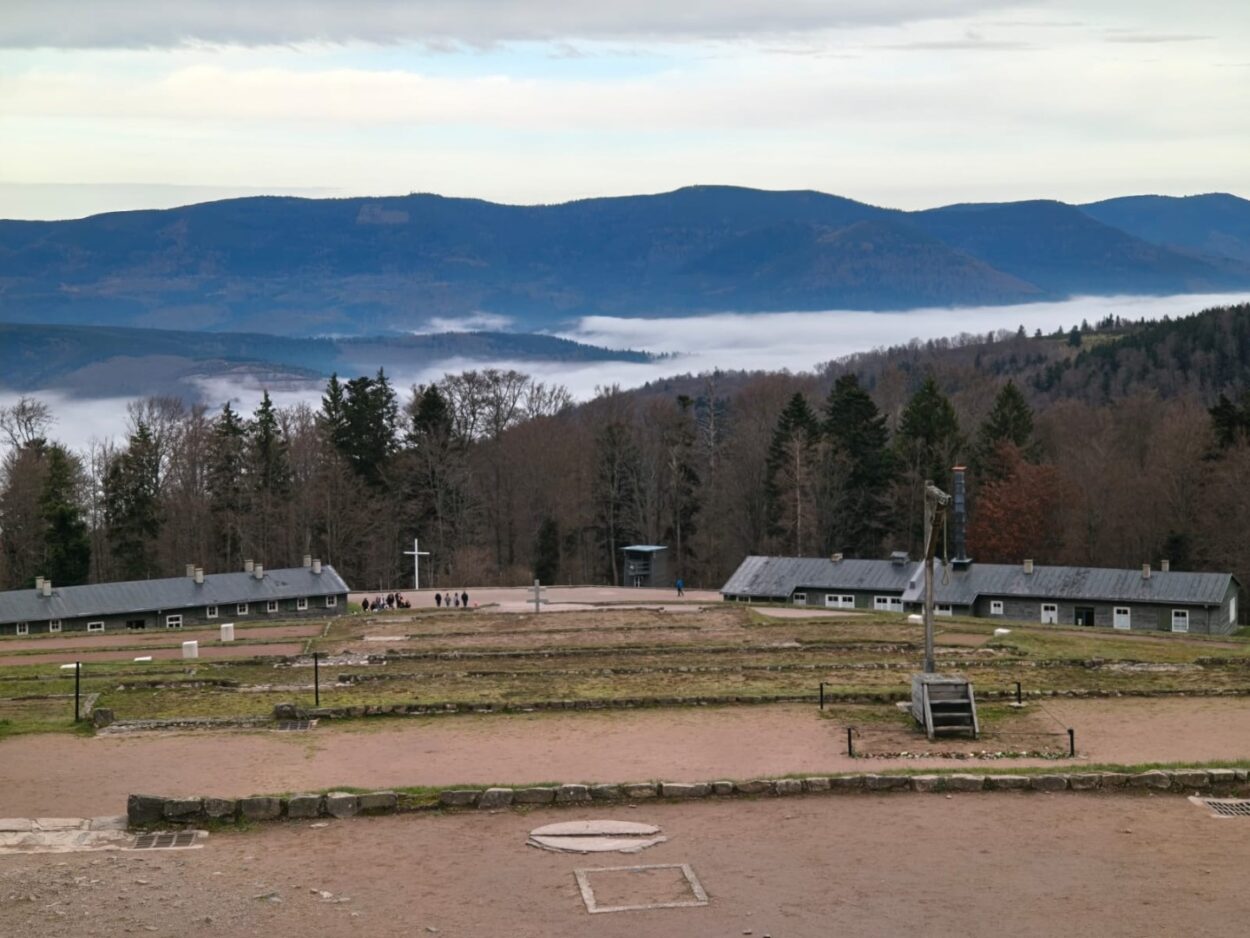 ae6ded76-e595-423f-96ed-ff274b41d513