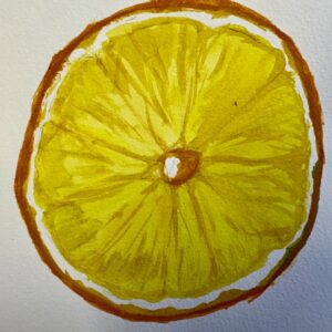 IMG_4248
